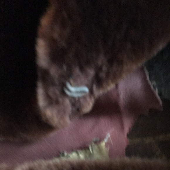 Women’s VINTAGE 1940S BEAVER FINE FURS COAT ABRAHAM & STRAUS Measurements in pic - Picture 14 of 16